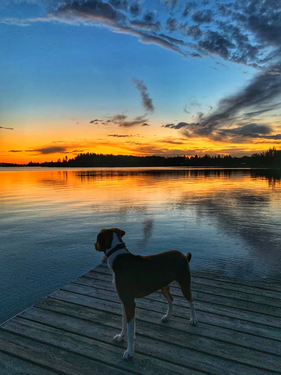 Wabigoon Lake