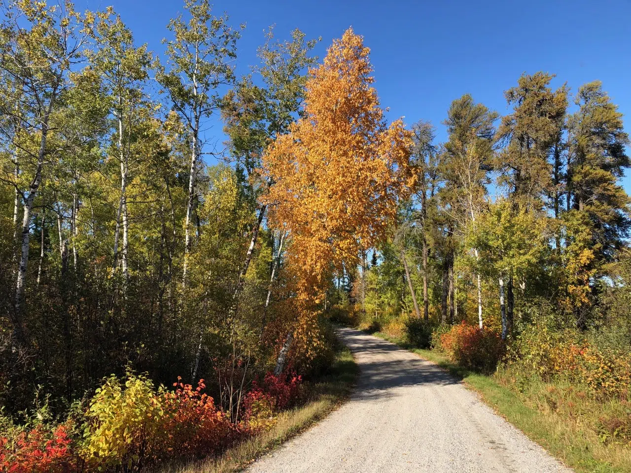 Norway Lake Road