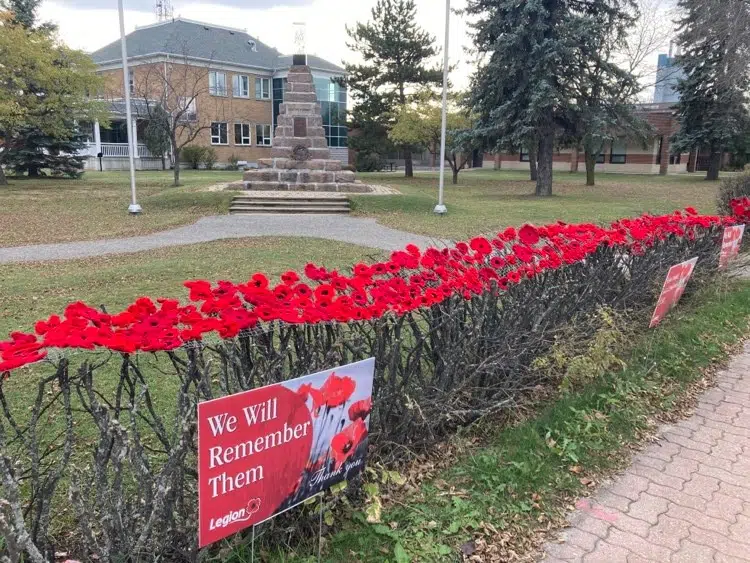 Remembrance Day Service In Dryden