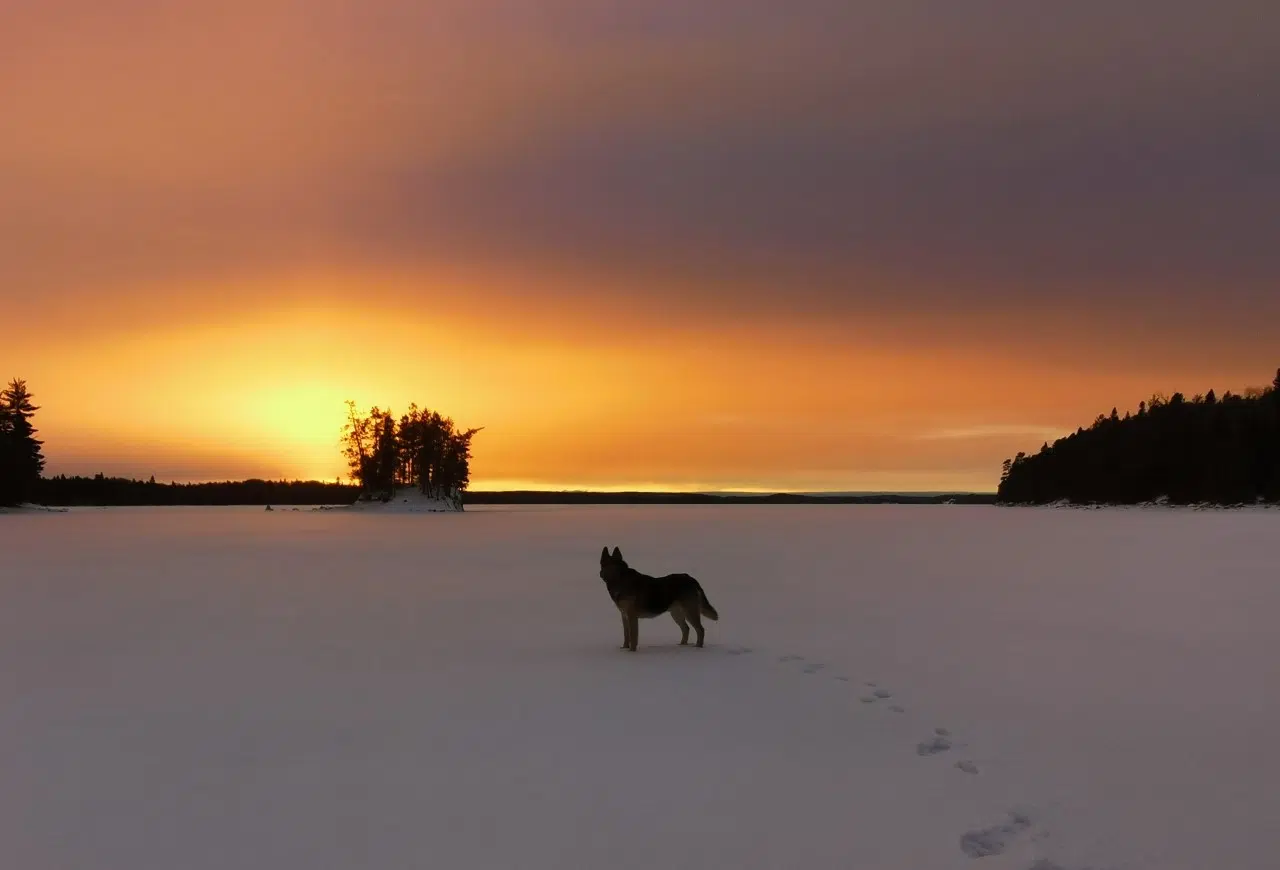 Lost Lake