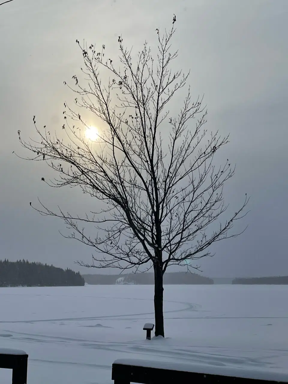 Rahill Beach