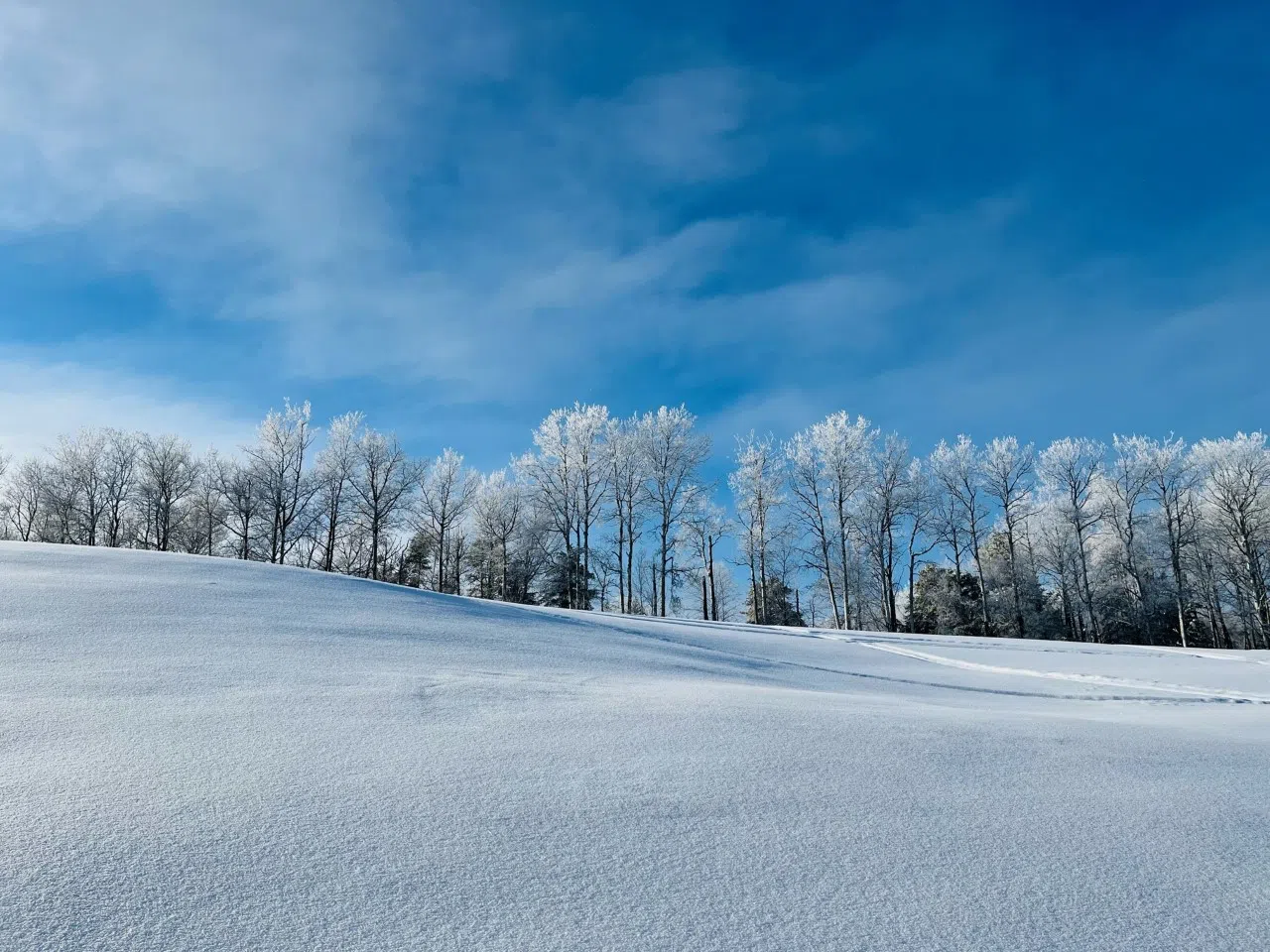 Perfect Powder