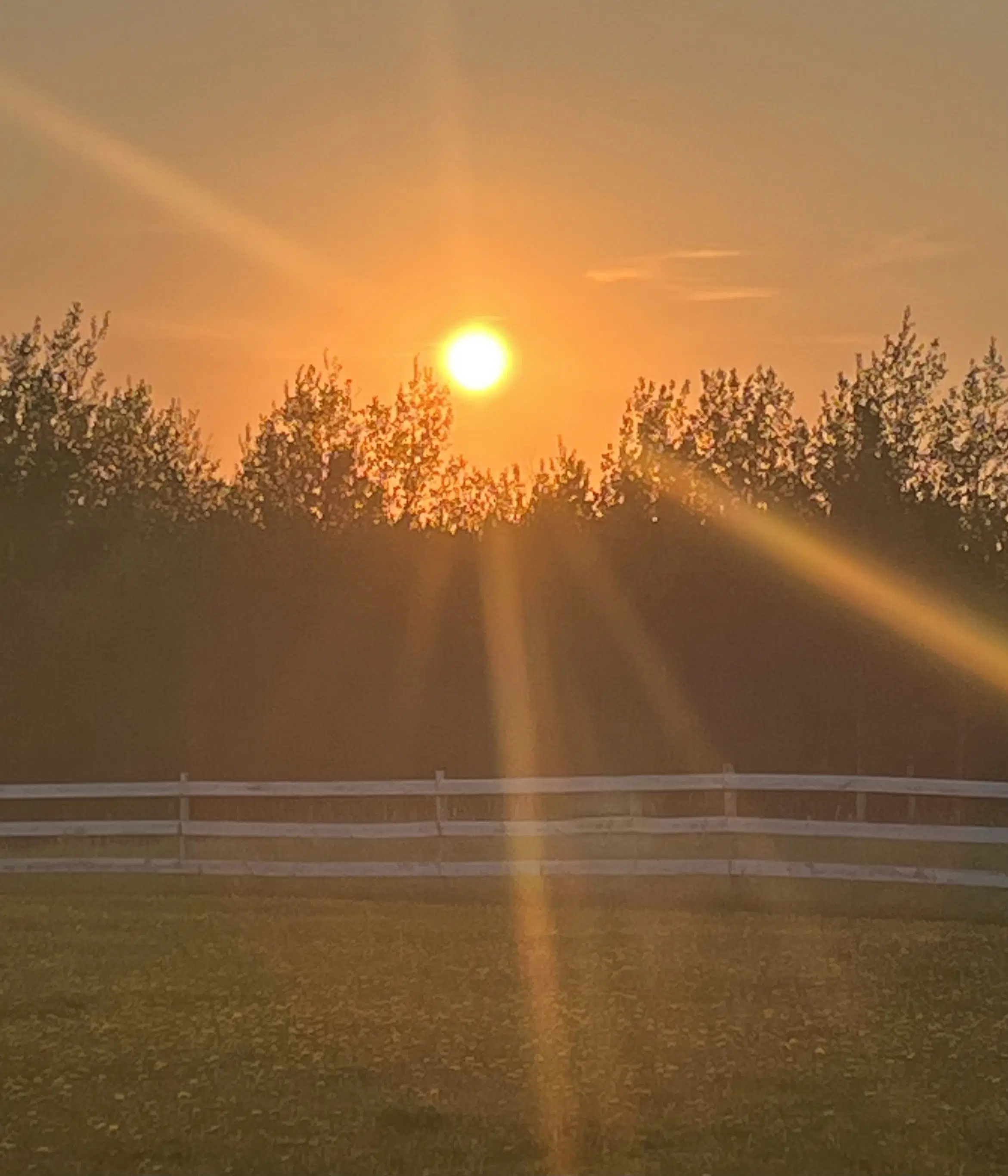 Johnston Road Area - West Of Dryden