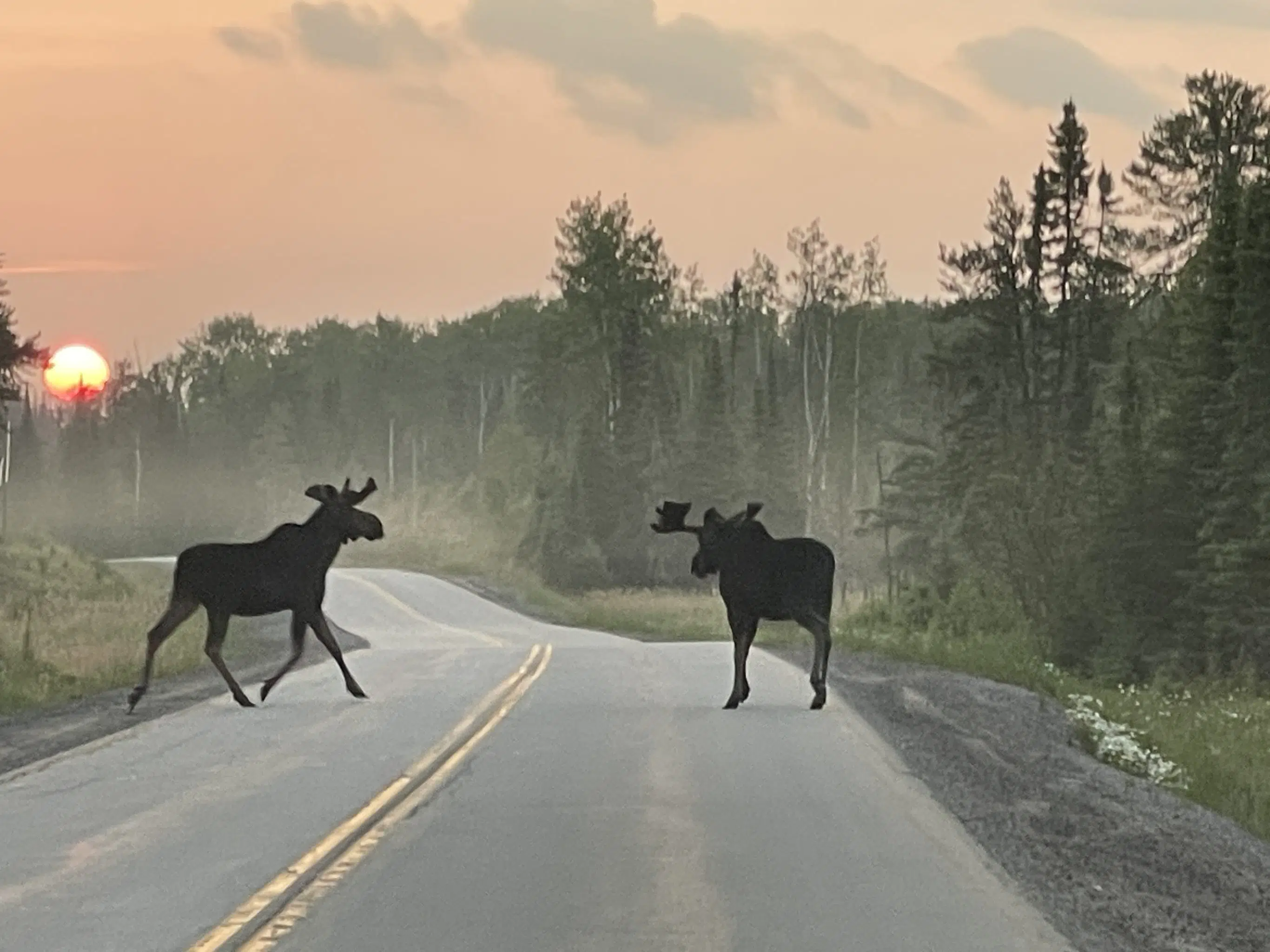 Highway Traffic