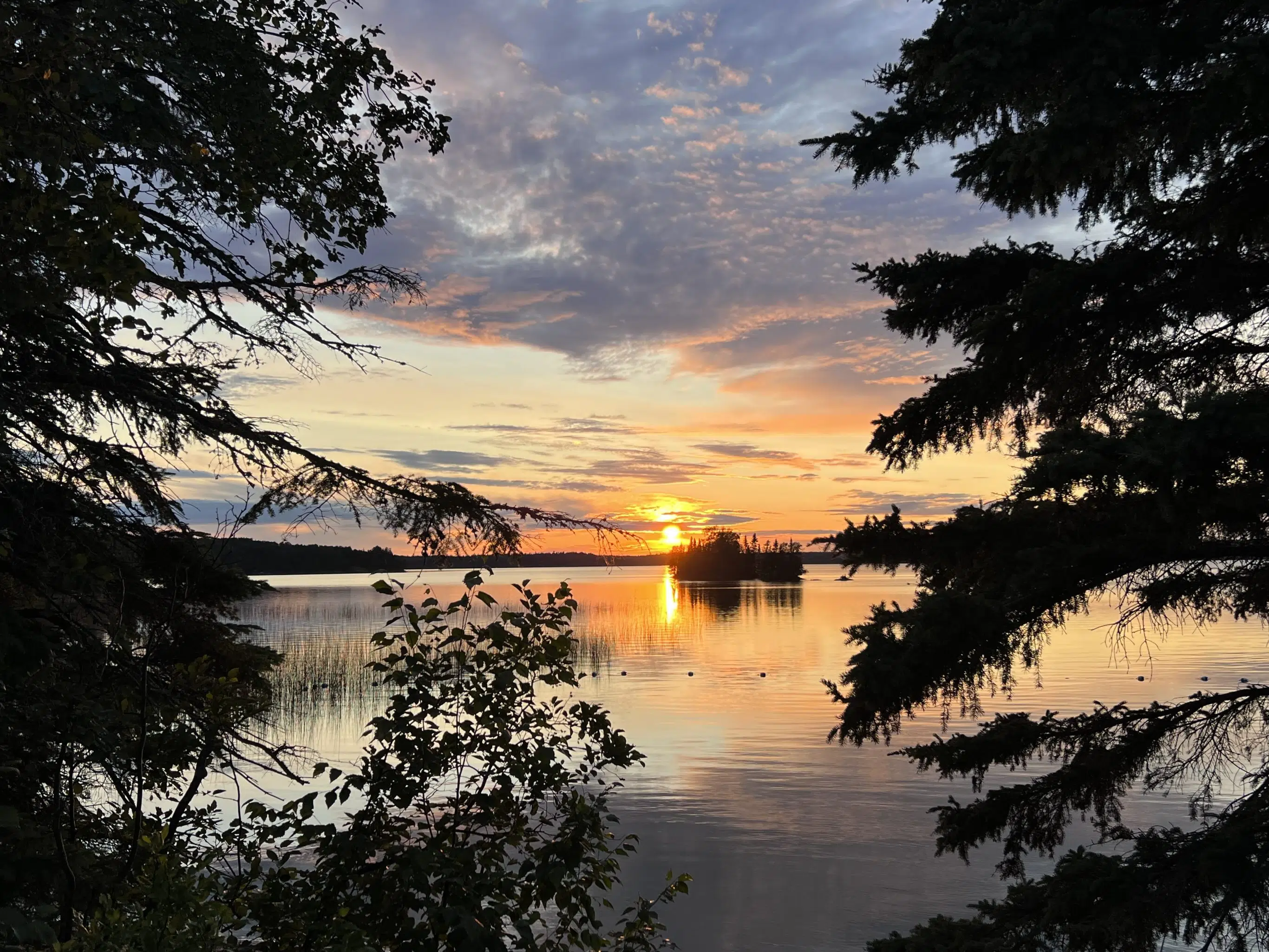 Sunset At Aaron Park