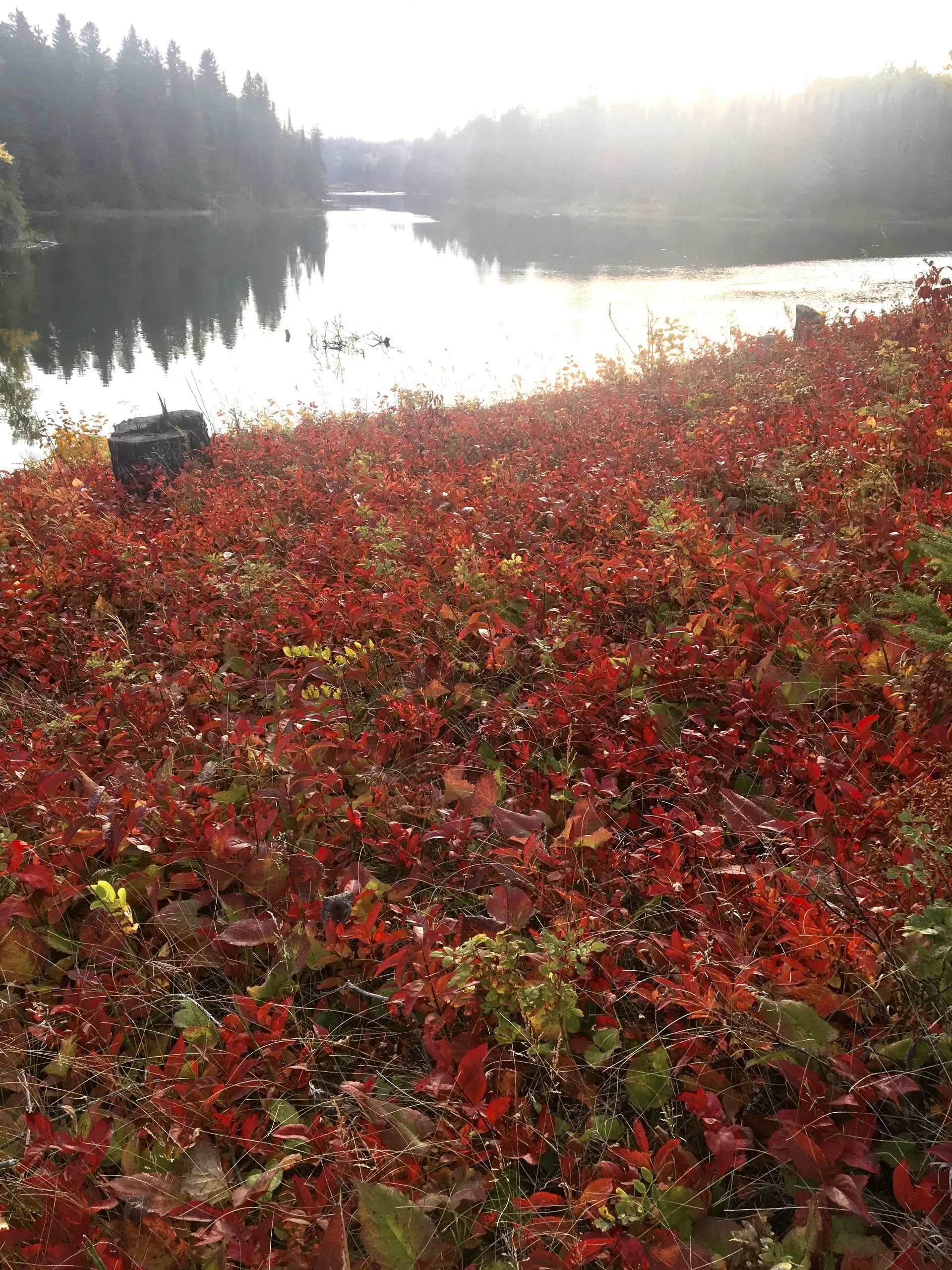 A Sea Of Red - Eagle River