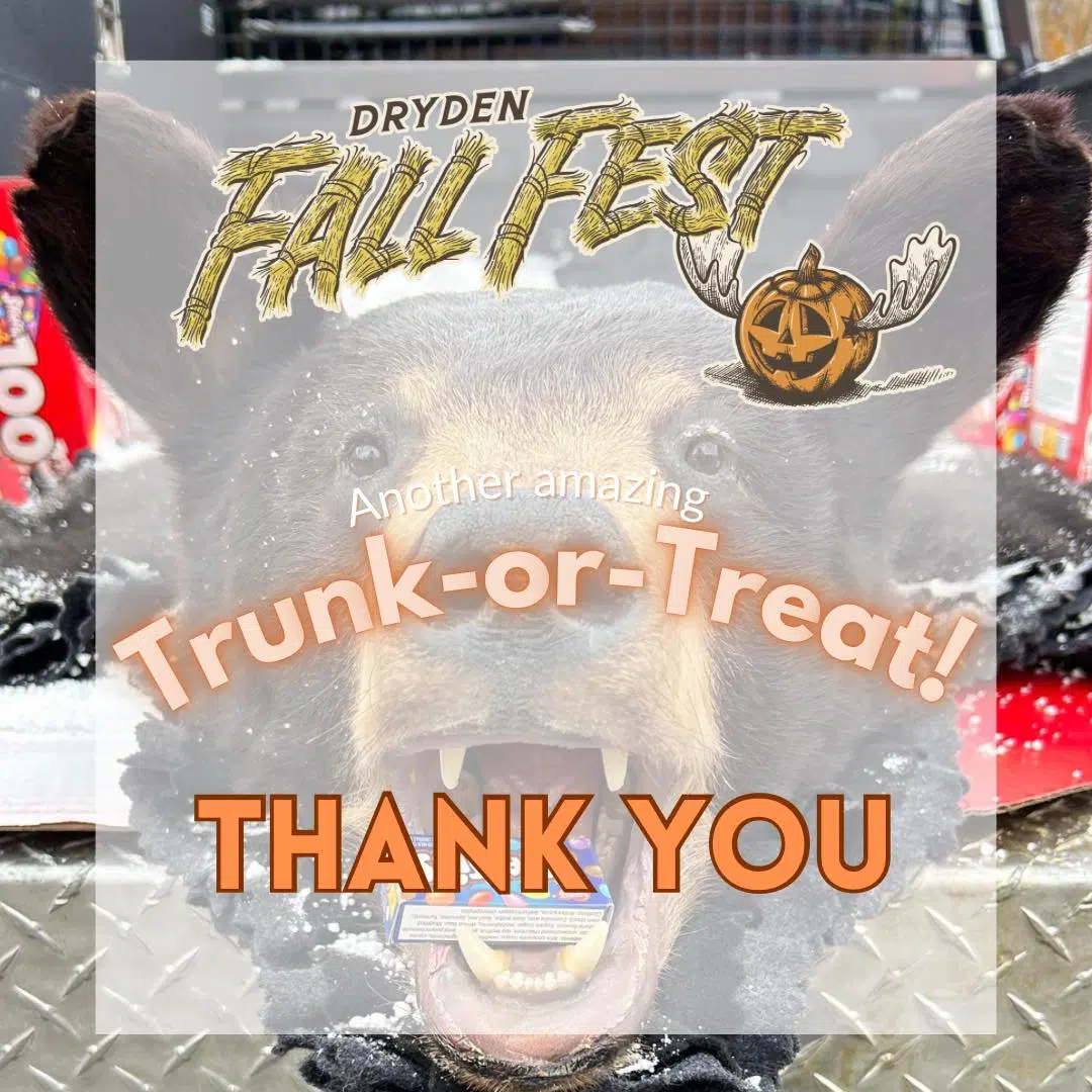 Dryden Fall Fest - Trunk Or Treat