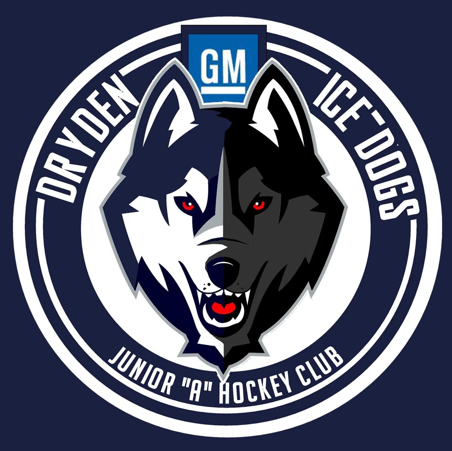 Documenting The History Of The SIJHL Dryden GM Ice Dogs