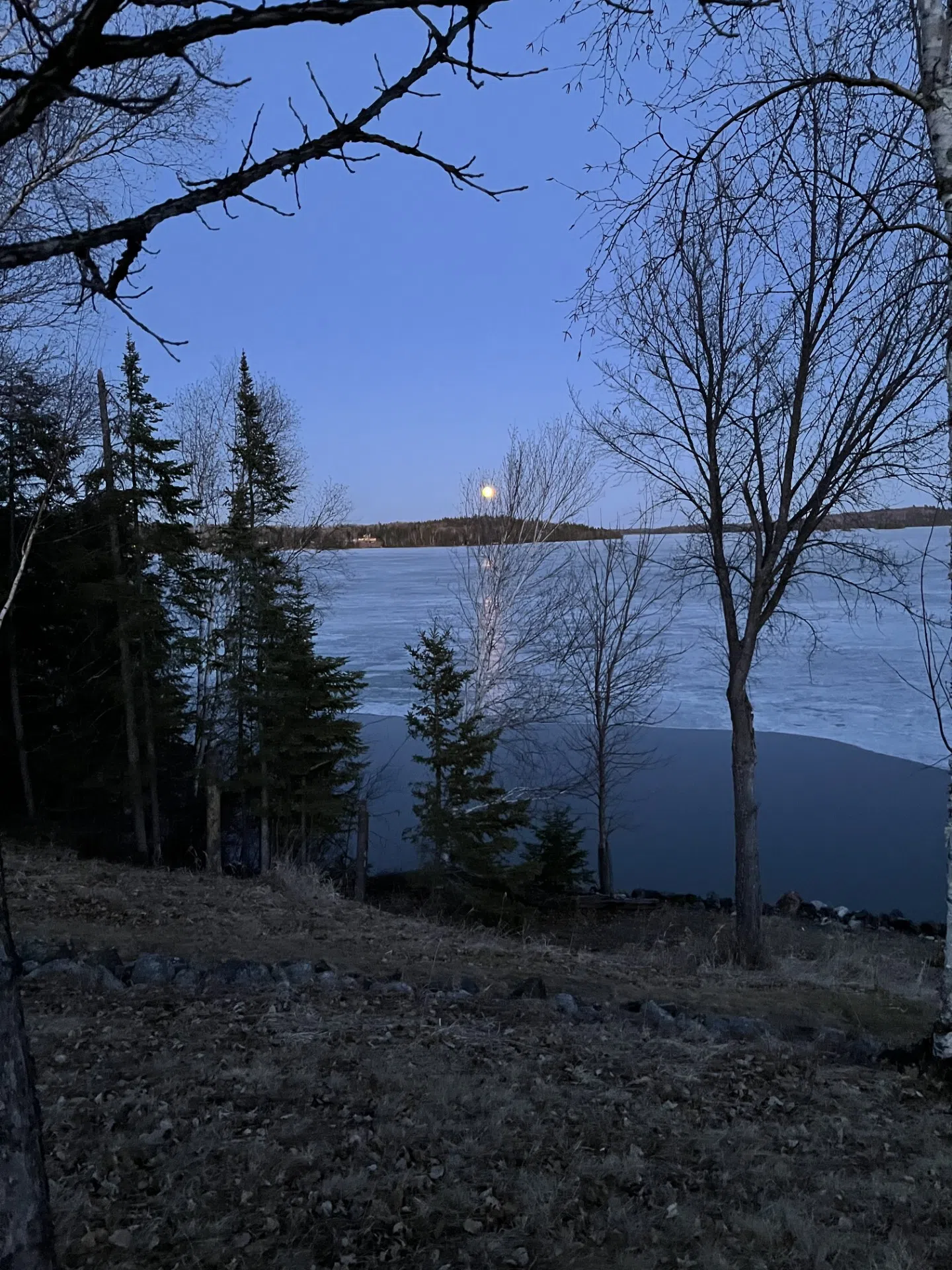 Pink Full Moon Over Lake Wabigoon