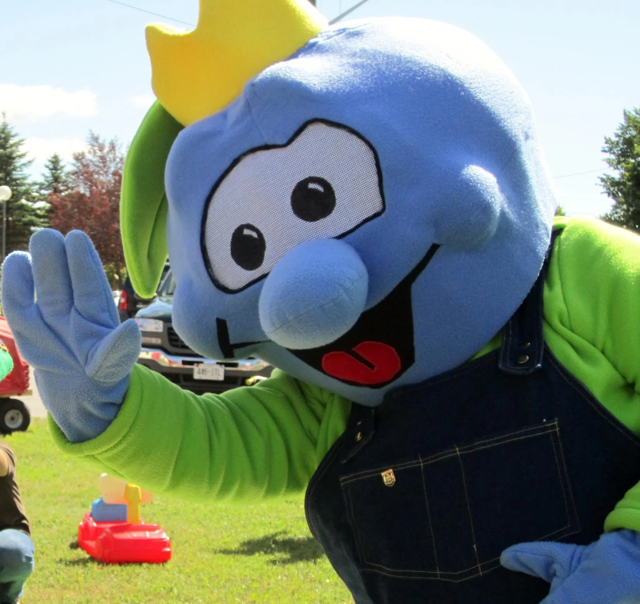 Back Summer 2024 Sioux Lookout Blueberry Festival CKDR