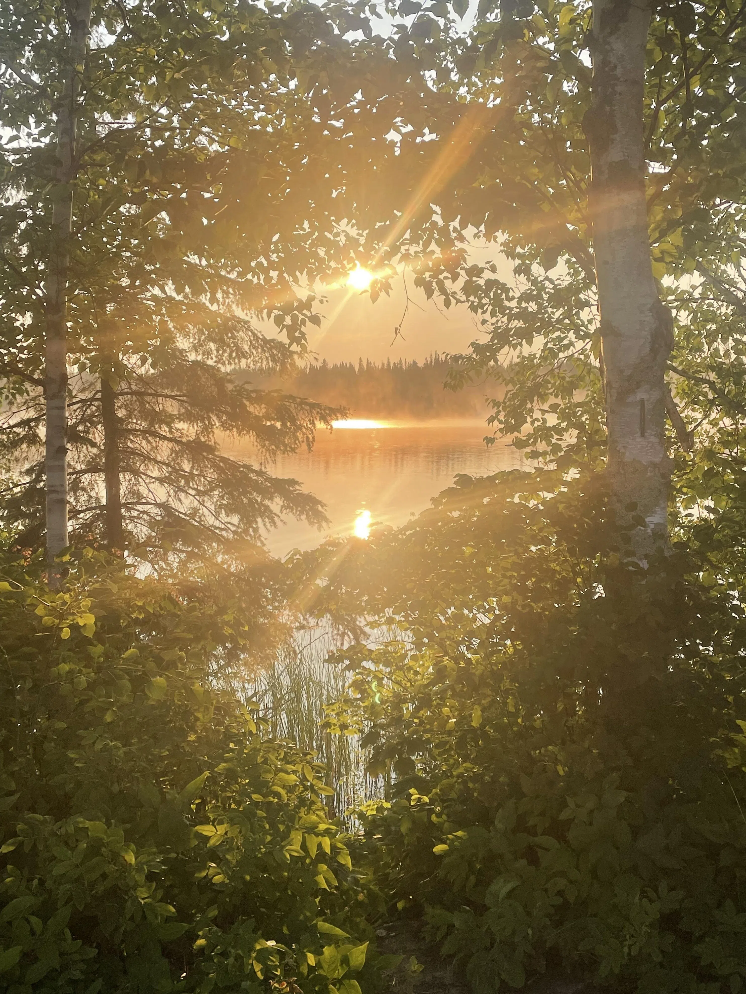 Sunrise At Jackfish Lake