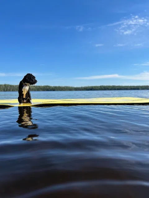 'Chillin' Out on Red Lake