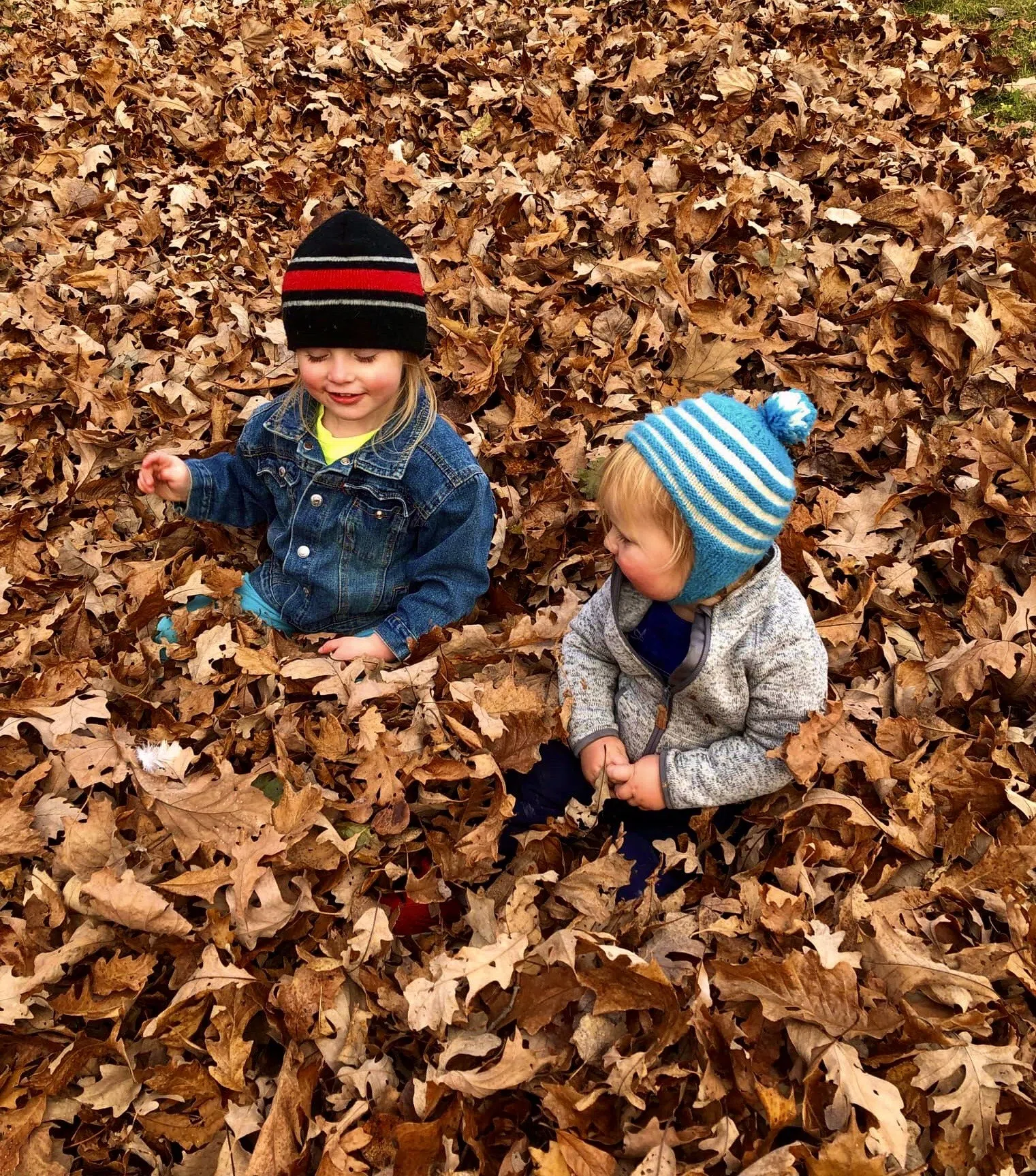 Welcoming Fall in Eagle River