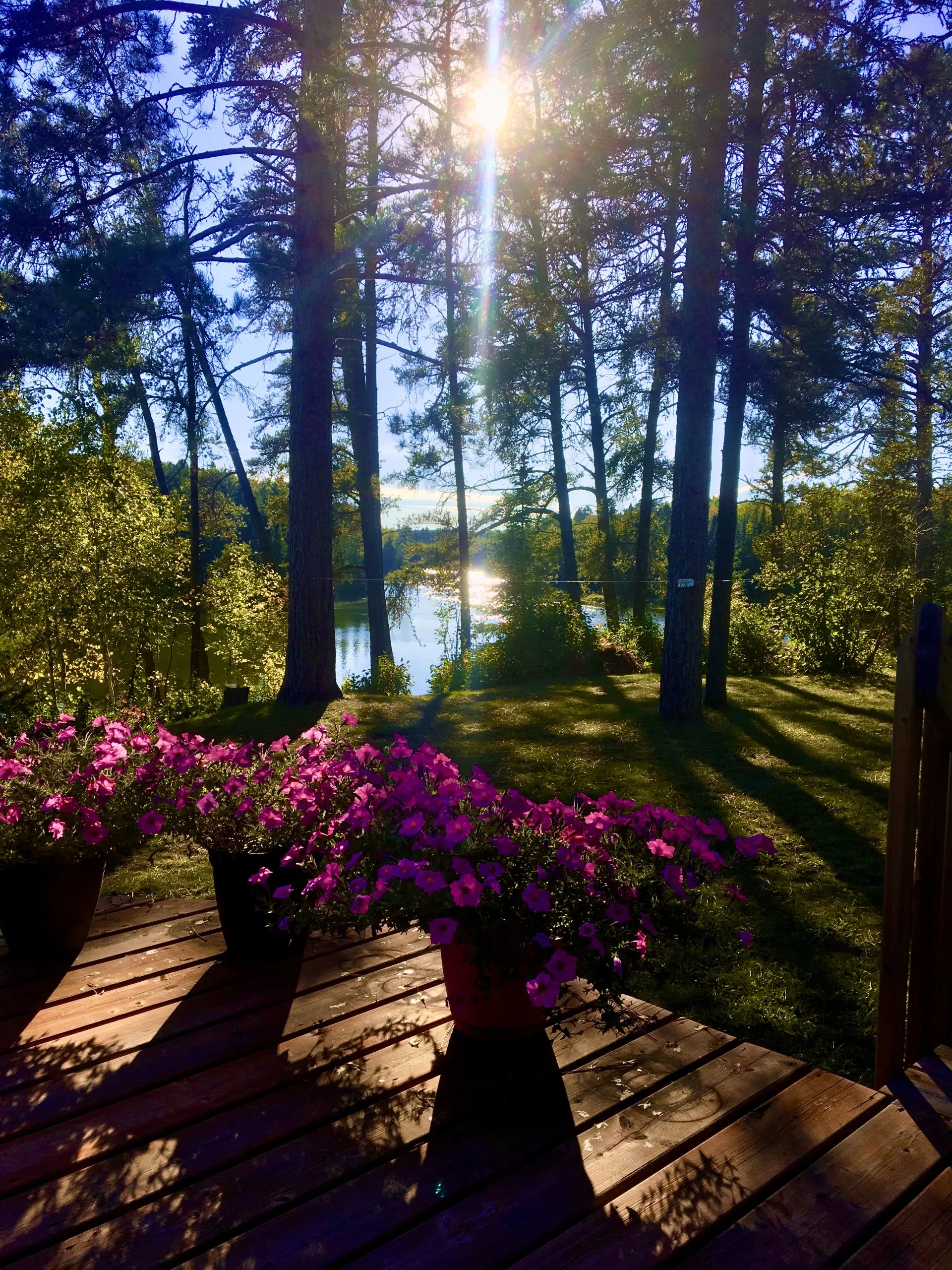 Eagle River - Before the Snow