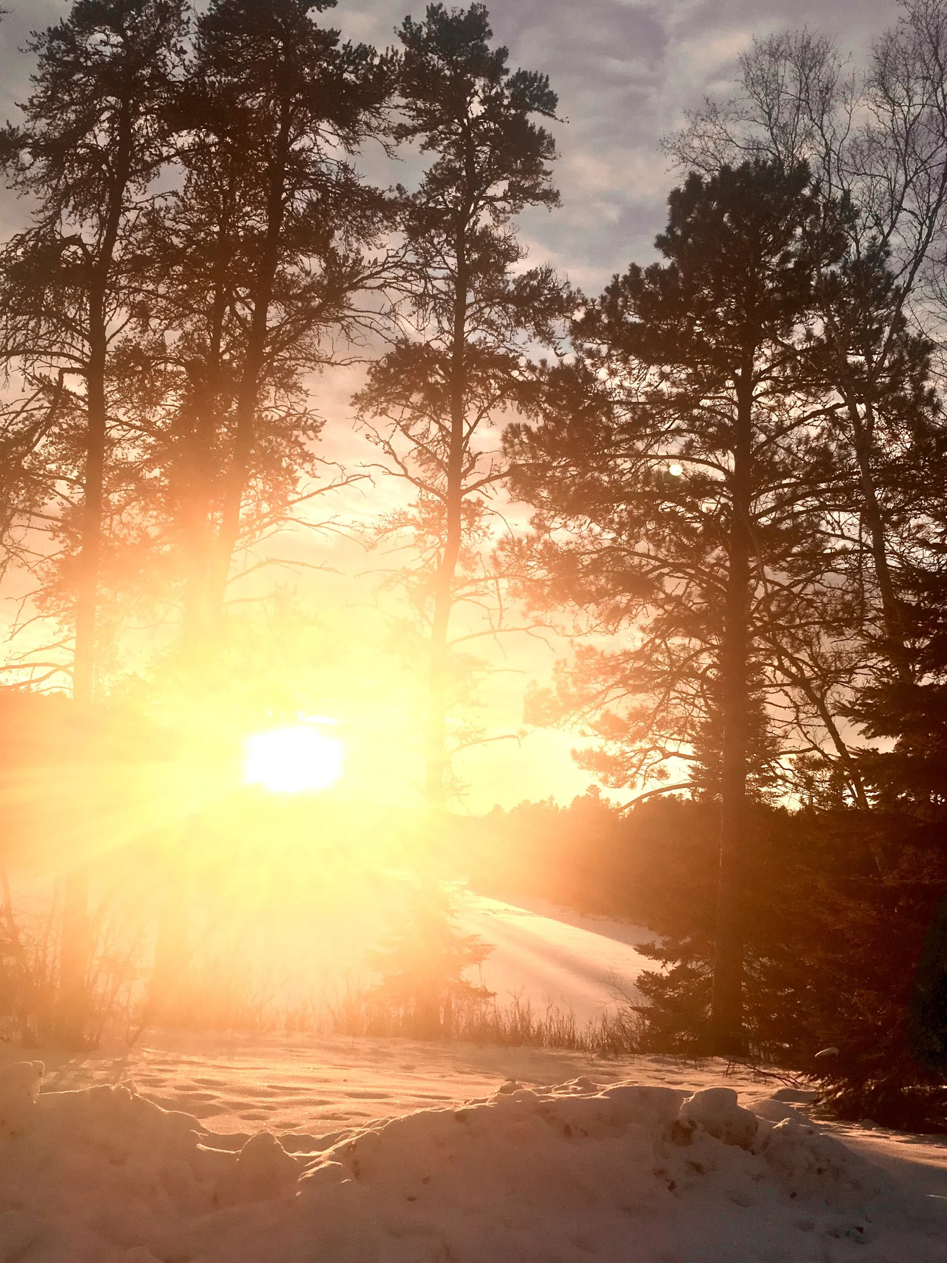 Brilliant Winter Sunshine - Eagle Lake