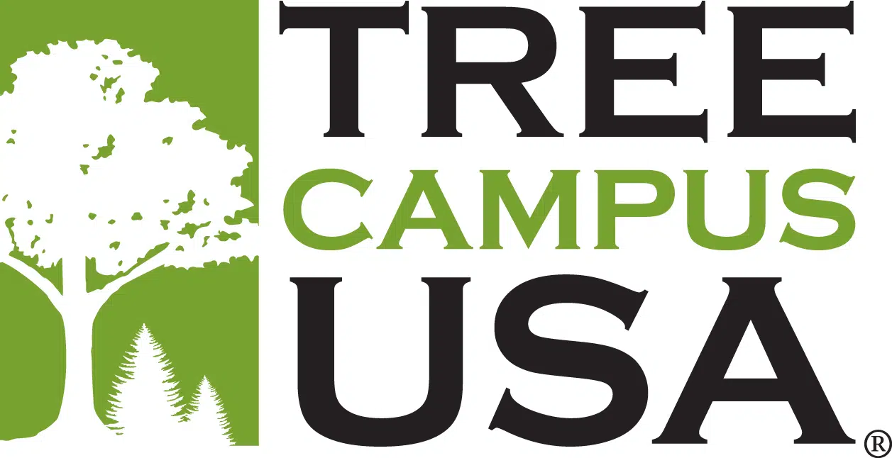 UWEC Recognized At "Tree Campus USA" College