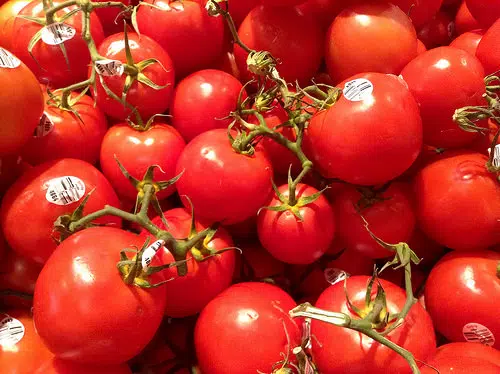 Local Gardening Expert Speaks About Tomato Problems