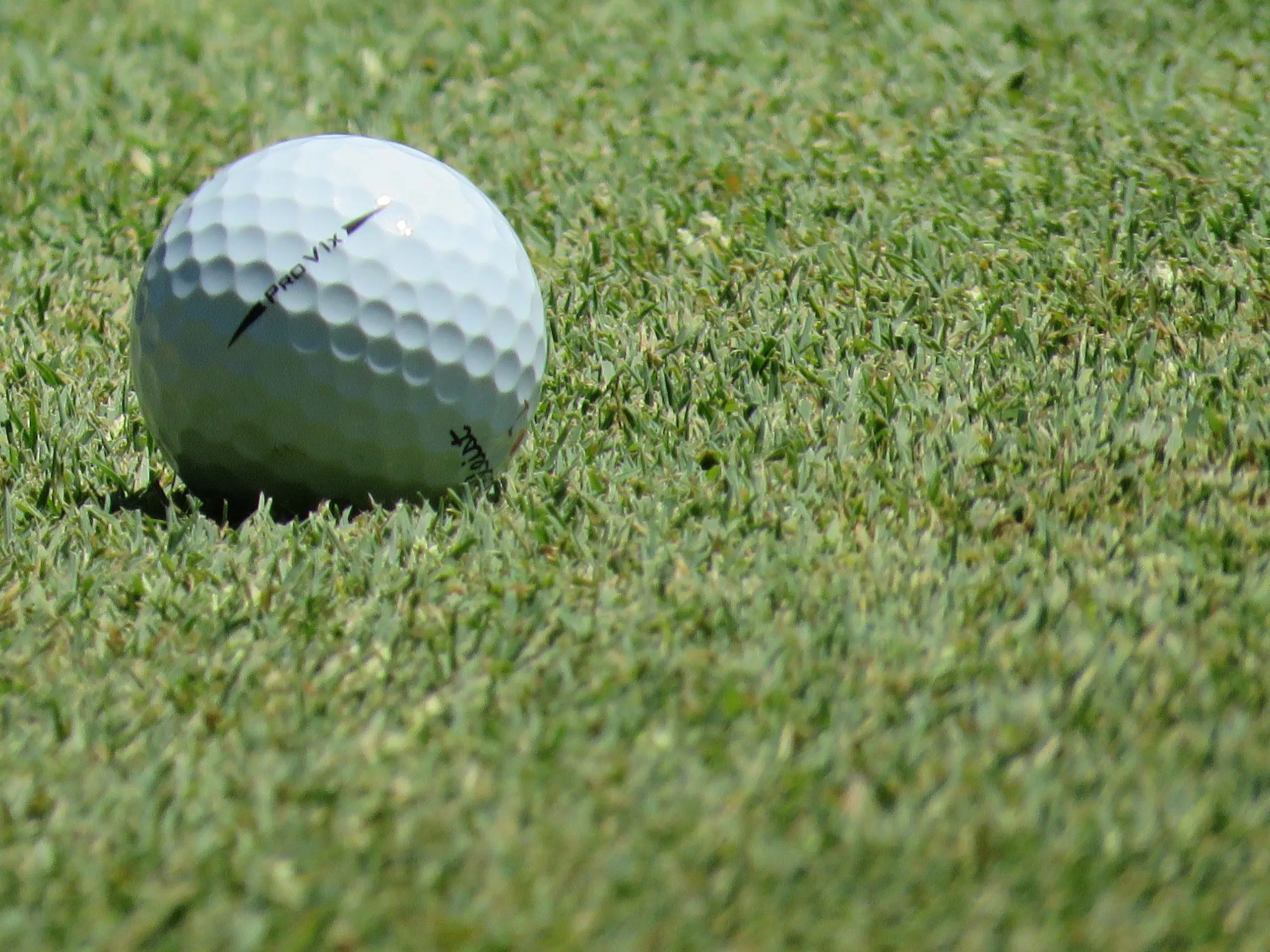 Hole-in-One at Meadow Links