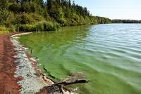 Winnebago County Warns Lake Users About Blue-Green Algae