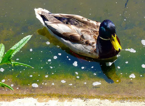 New Zoo Switches To Fall Hours