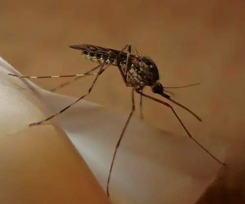 Brown County Individual Contracts West Nile Virus