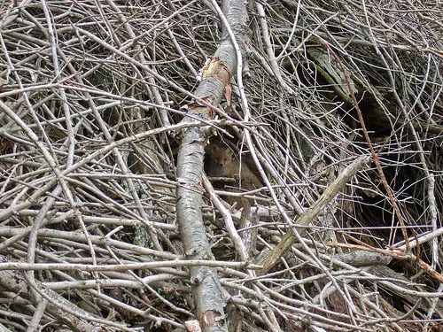 City of Manitowoc Announced Spring Clean-Up Schedule