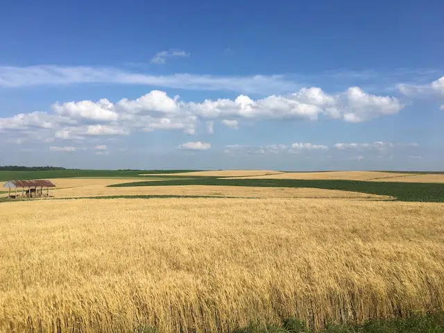 About 75 Percent Of Wisconsin Seeing Drought Conditions