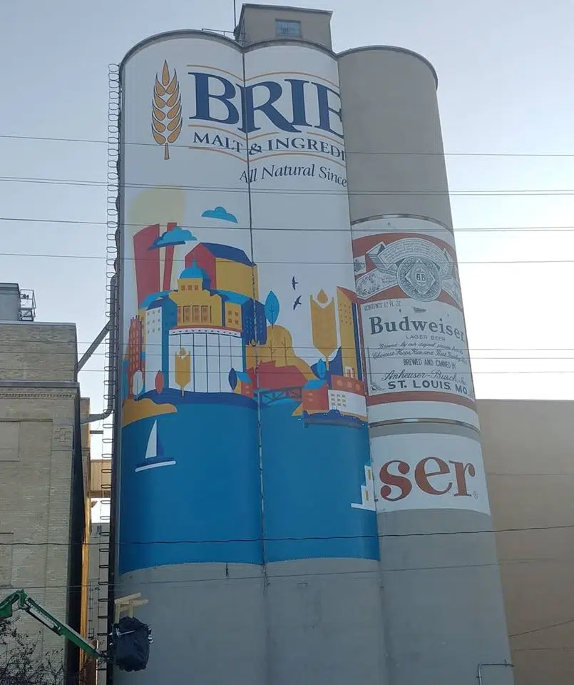 Budweiser Bottles Almost Covered Up