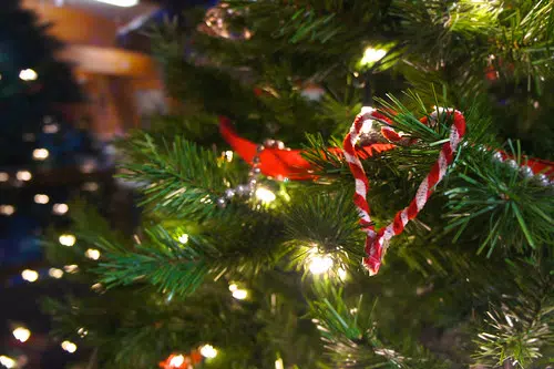 Christmas Tree Pickup Notice
