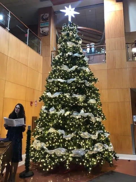 HFM to Flip the Switch on the Love Light Tree Today