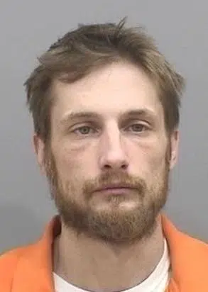 New Holstein Man Sentenced in 2020 Car Theft Case
