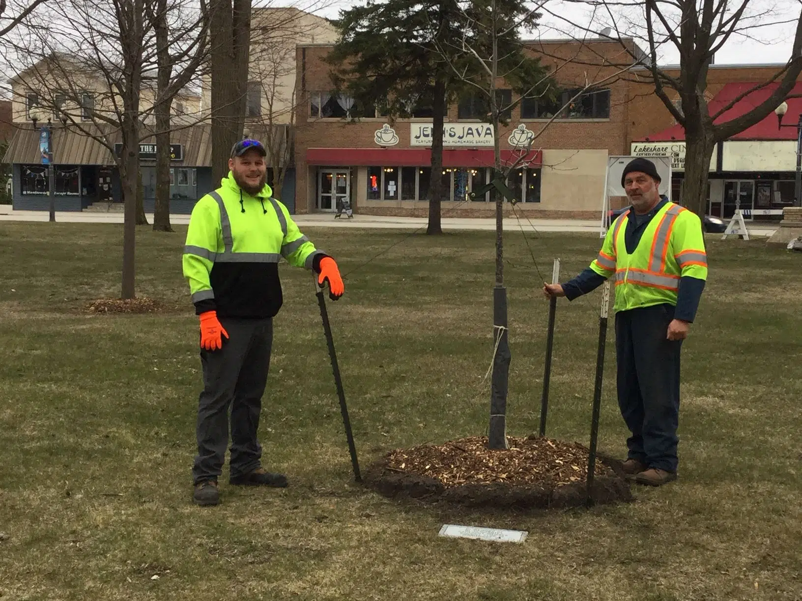 For the Thirty-Seventh Year in a Row, the City of Manitowoc Receives the Tree City USA Award