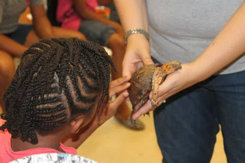 Wisconsin Boys & Girls Clubs Pledge Action Against Racial Inequity