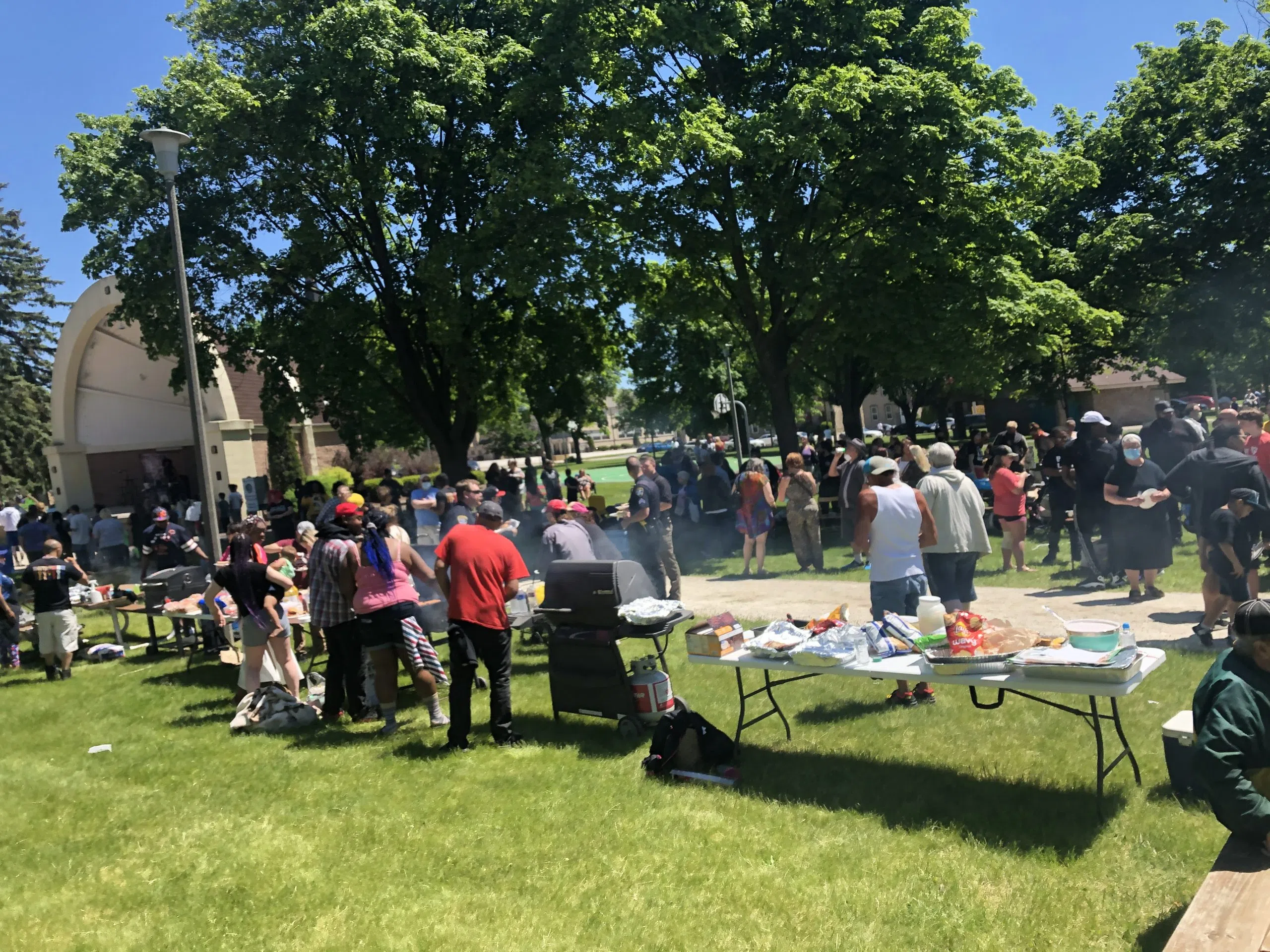 Hundred Flock to Washington Park to Support Black Lives Matter Movement