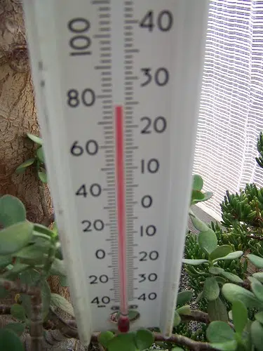 Heat Advisory