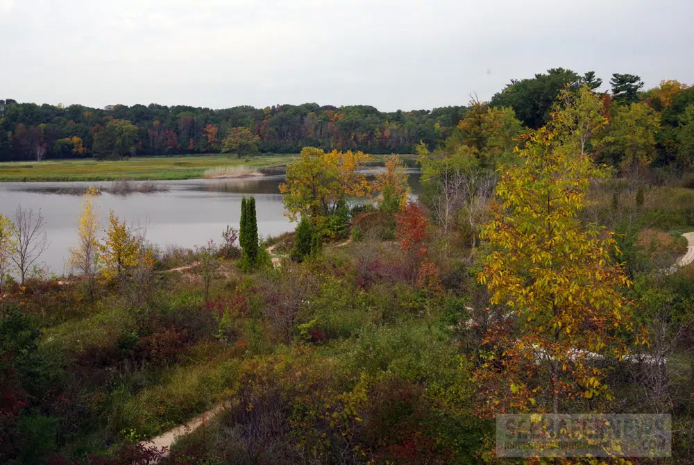 Some Brown County Park Areas Closed During Deer Gun Season