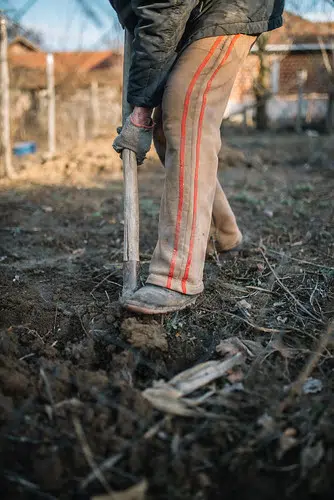 Manitowoc County Extension Says Spring is the Perfect Time to do a Soil Sample