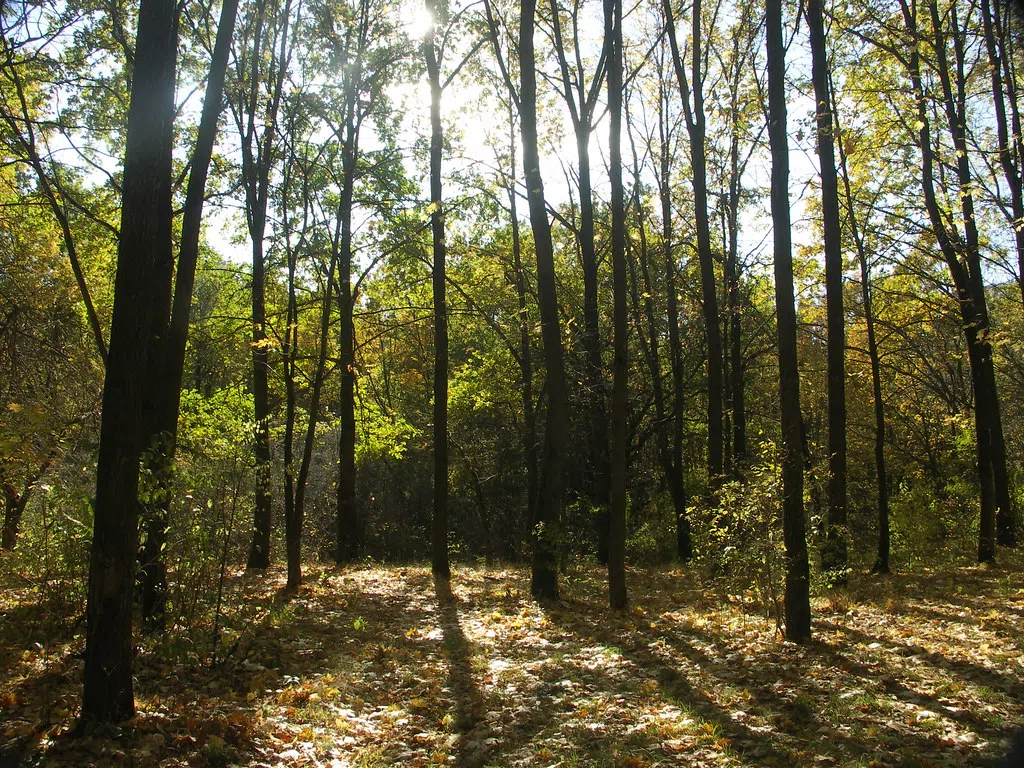 West Bend Man Killed in Hunting Incident in Door County