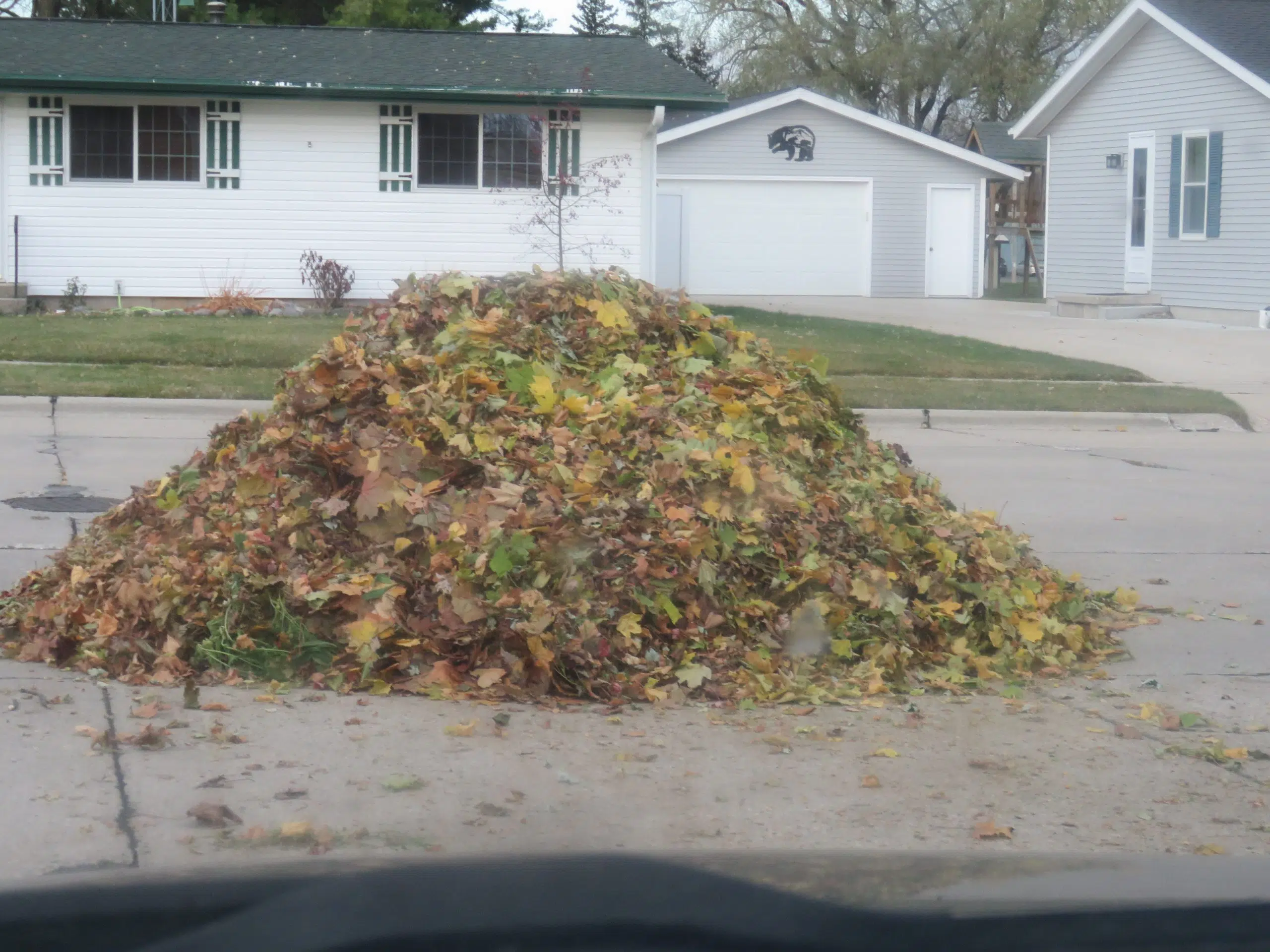 Manitowoc Ends 2023 Fall Leaf Pickup Seehafer News