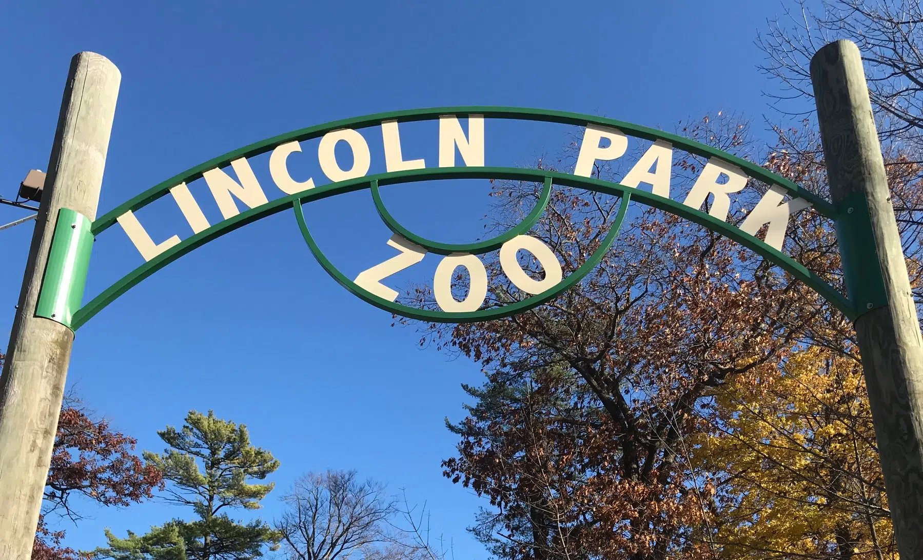 Changes Coming To Lincoln Park Zoo