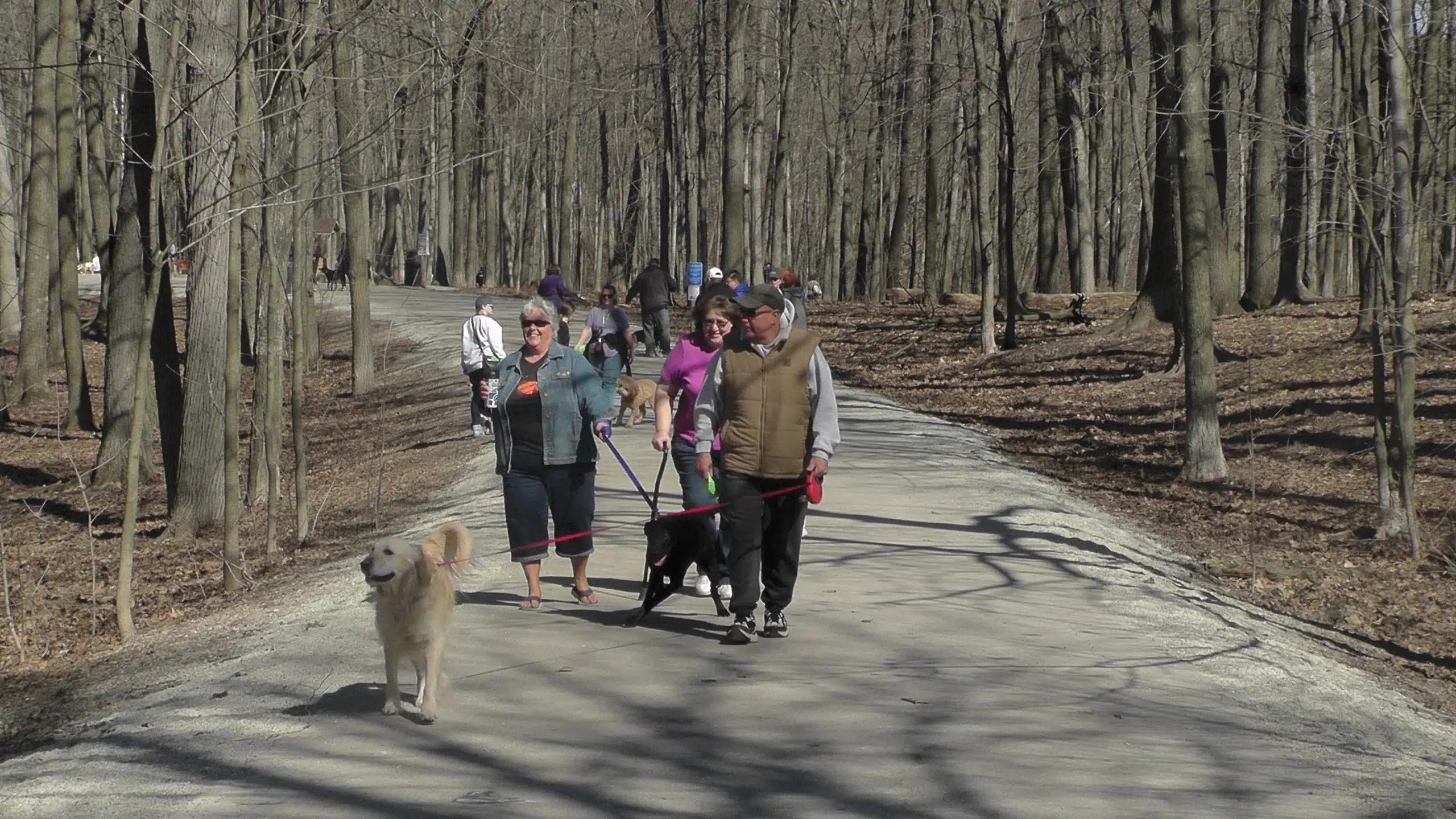 Brown County Parks Department Preparing for Annual Dog Easter Egg Hunt