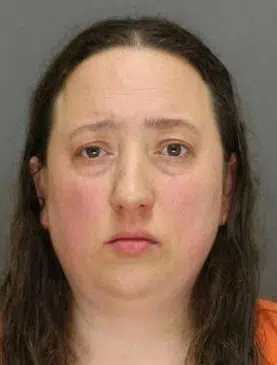 Brown County Woman Facing Charges of Animal and Child Neglect Has First Court Appearance