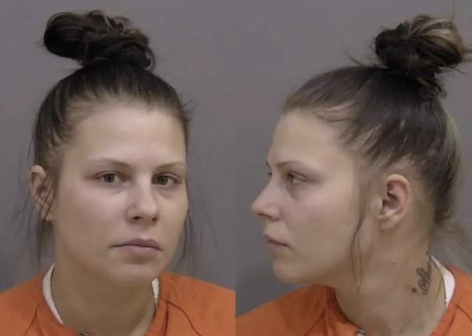 Accused Brick Thrower Sentenced in Another Case