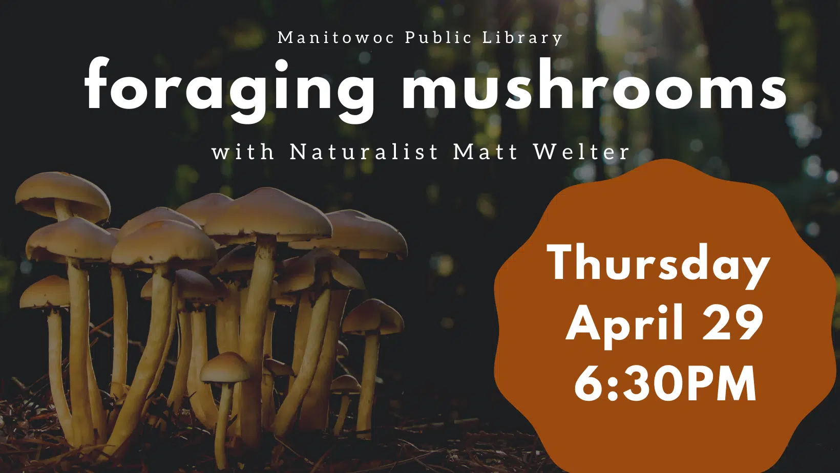Manitowoc Public Library Hosting Foraging for Mushrooms Program
