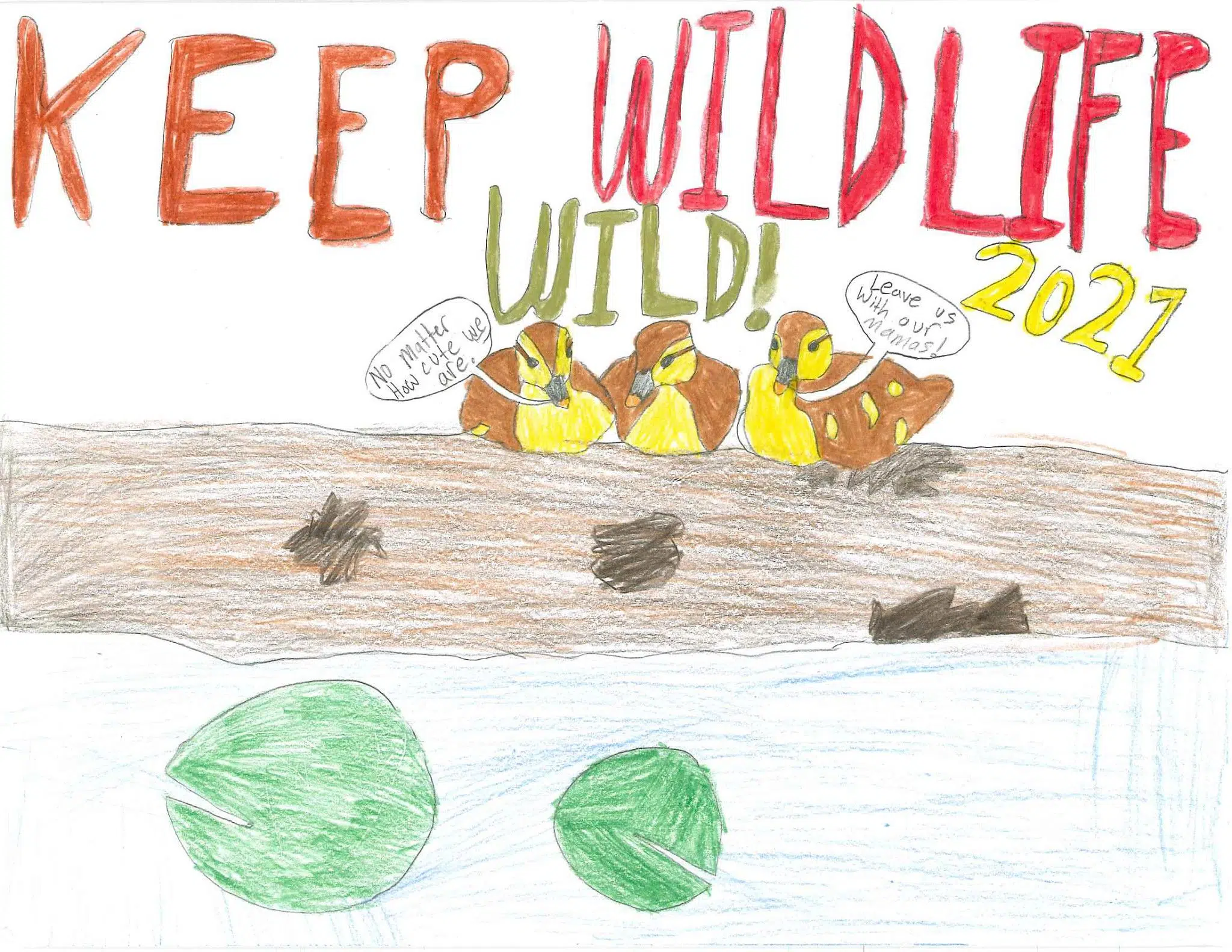 Brillion Student Wins DNR Keep Wildlife Wild Poster Contest