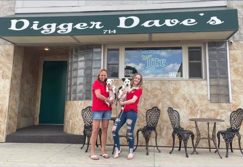 Manitowoc Bar Helps Save Nine Dogs from a Kill Shelter in Texas