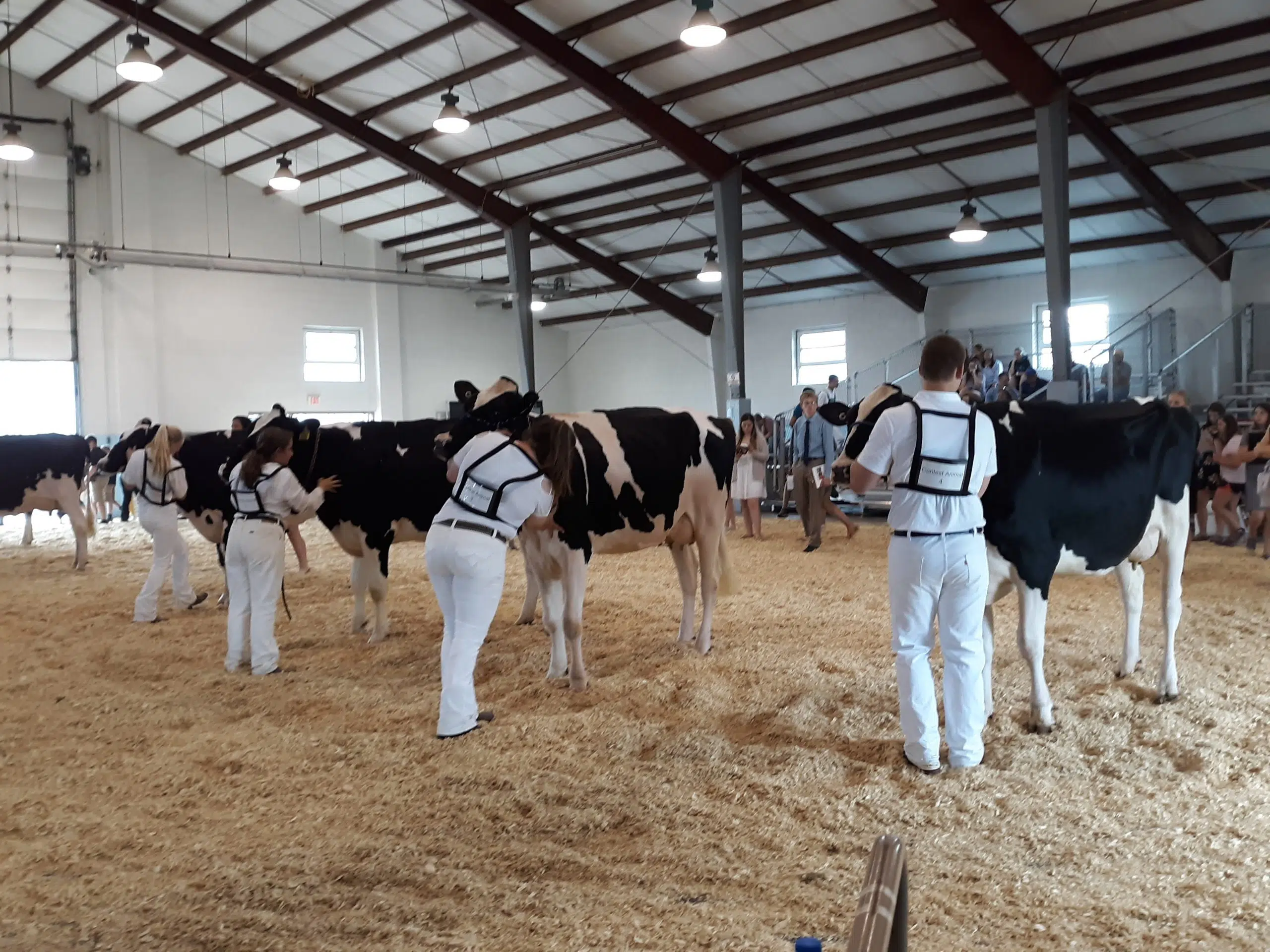 Manitowoc County Finishes First at State 4-H Judging Contest