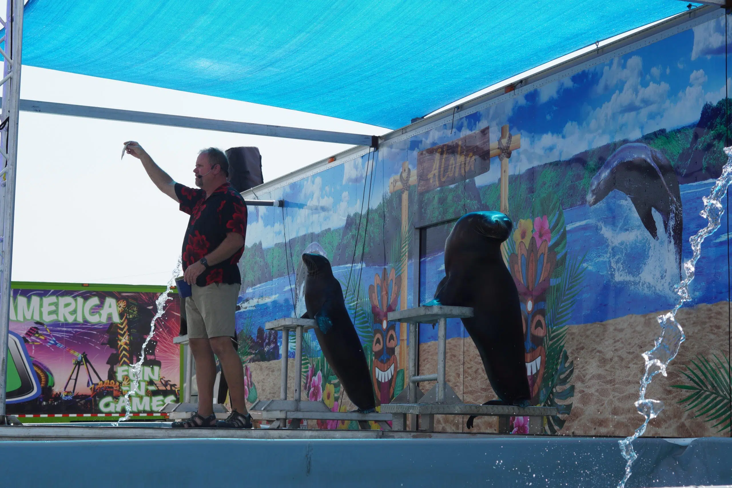 Sea Lion Show Making a Splash at Manitowoc County Fair