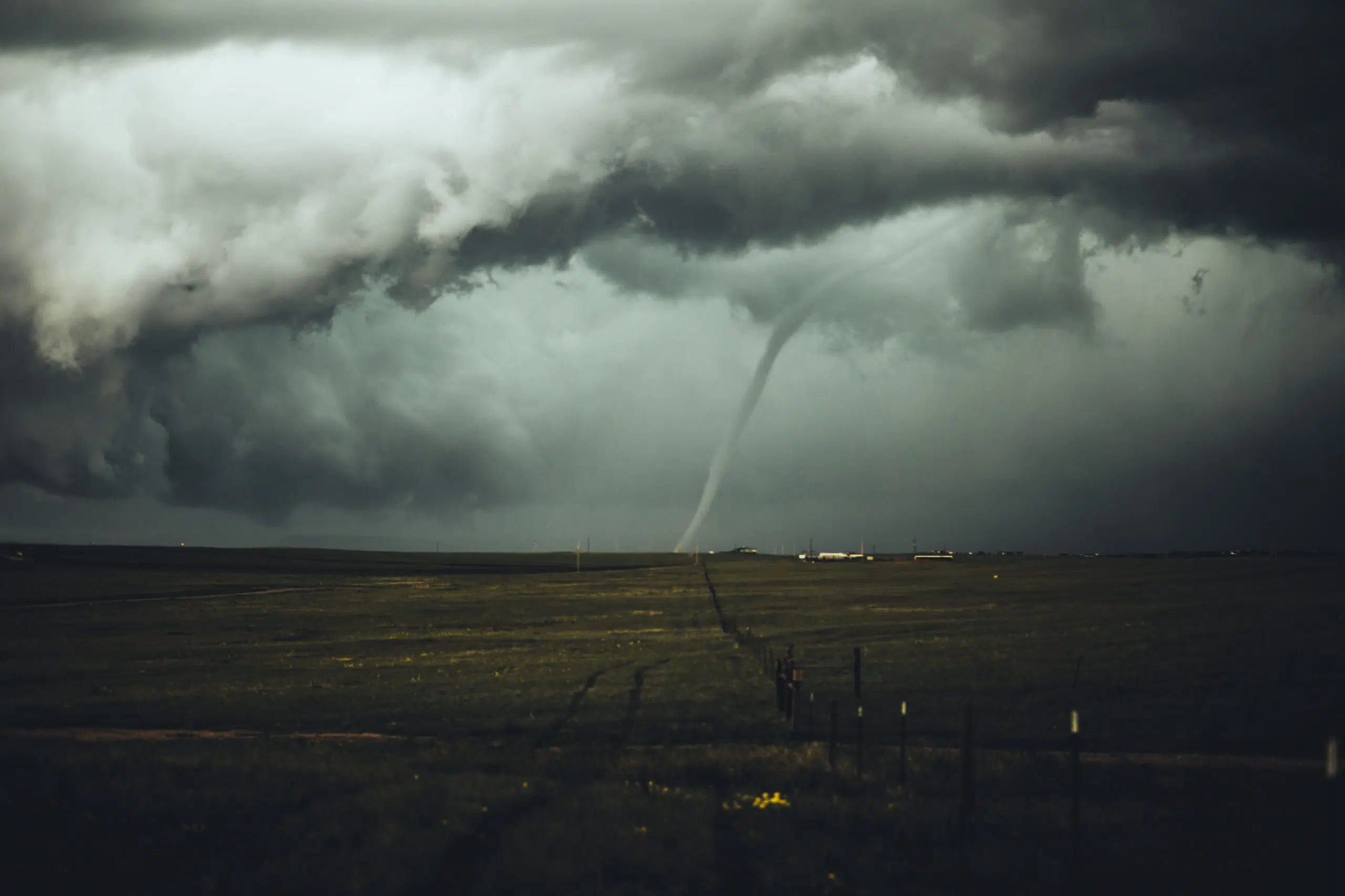 Tornado Causes Damage, Claims Lives of Cows in Evansville