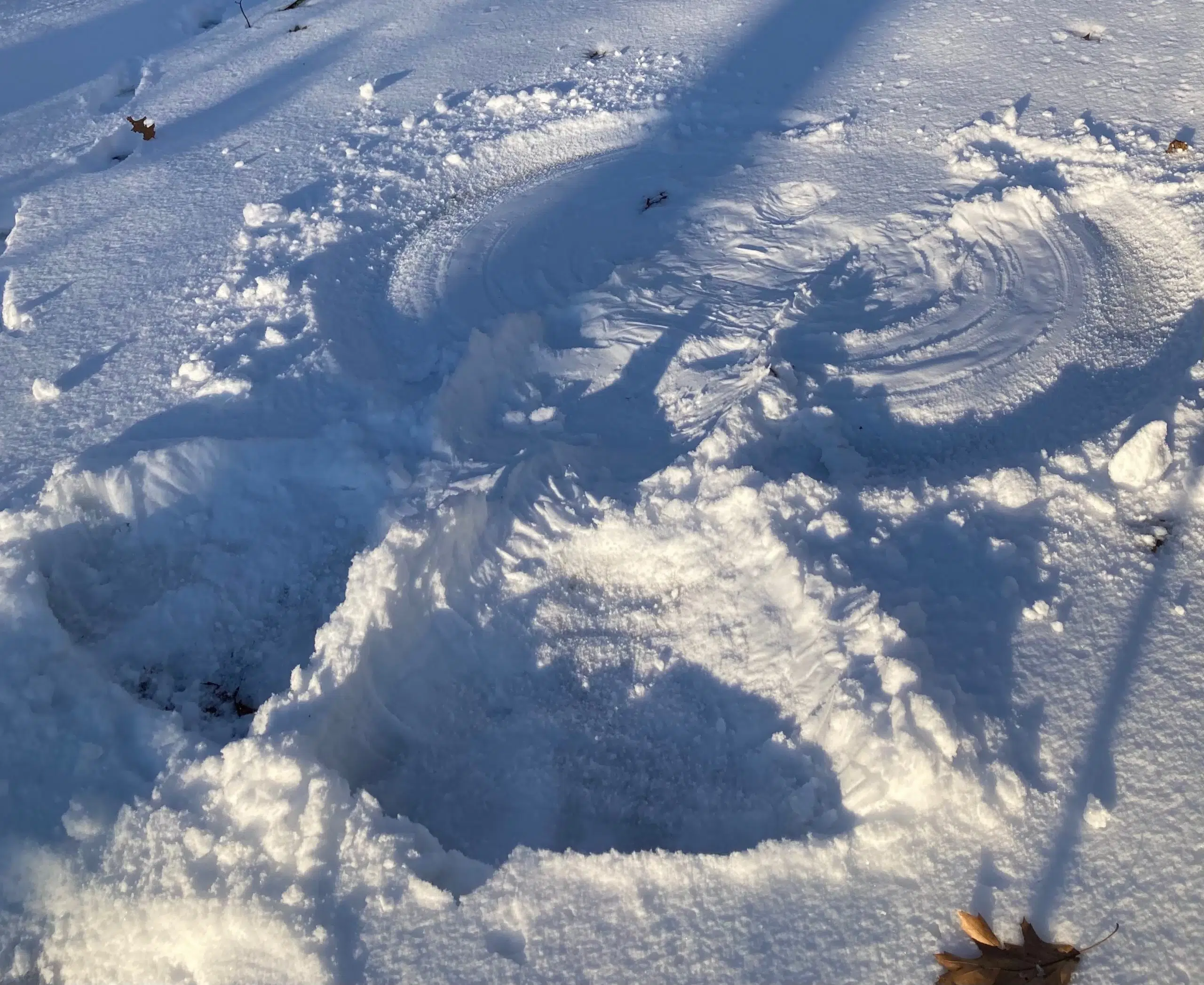 Ripples from the Dunes: the Importance of Snow